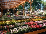 木村植物園
