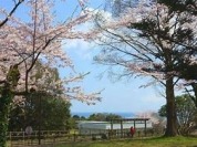 城山公園