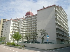 平塚市老松町