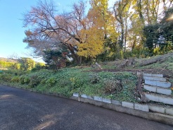 南側正面の状況