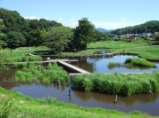 厳島神社湿生公園